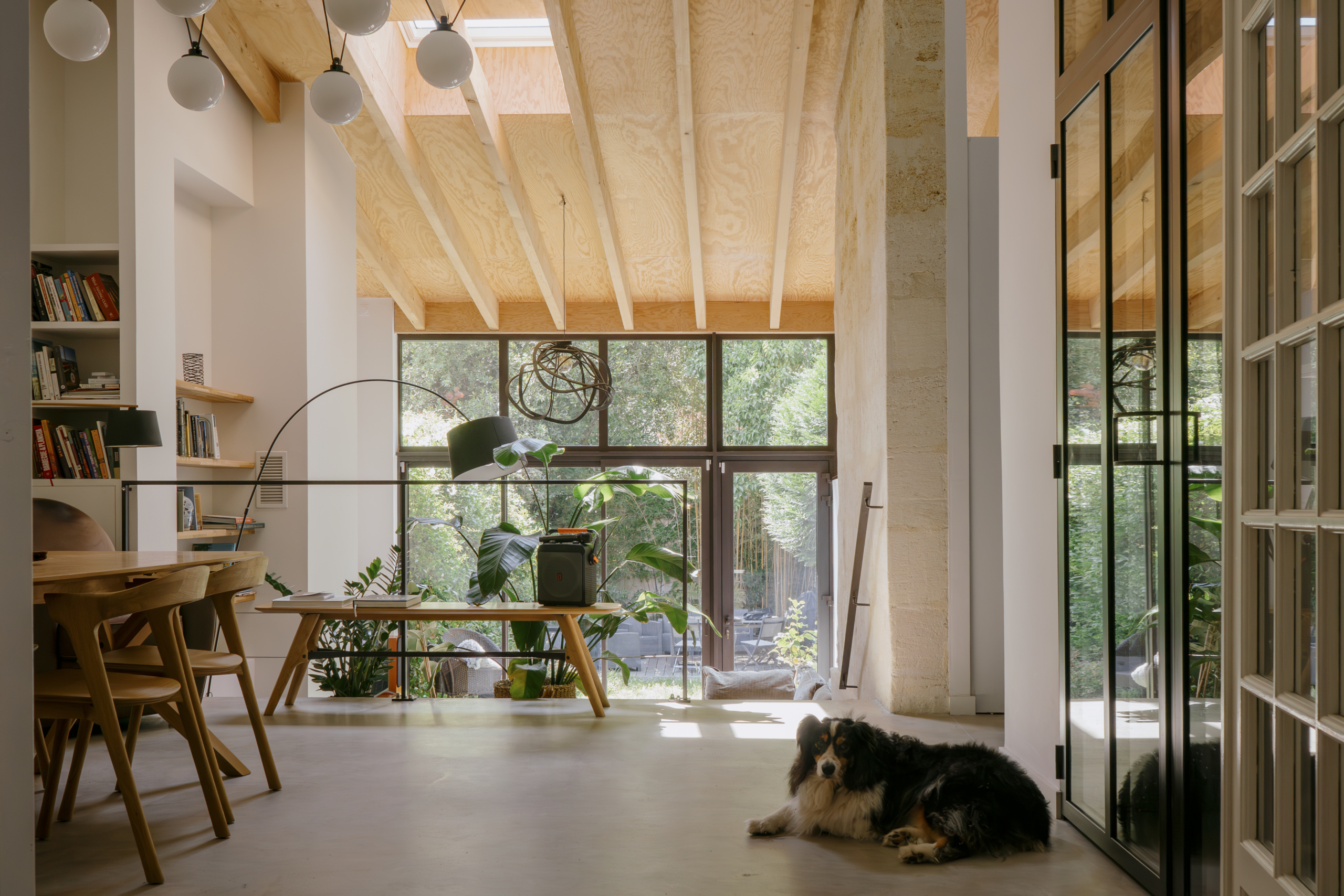 23_Banette©fabiosem