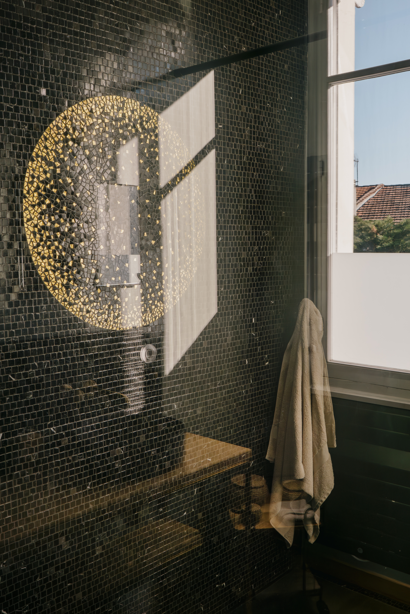 65_Voltaire©fabiosem