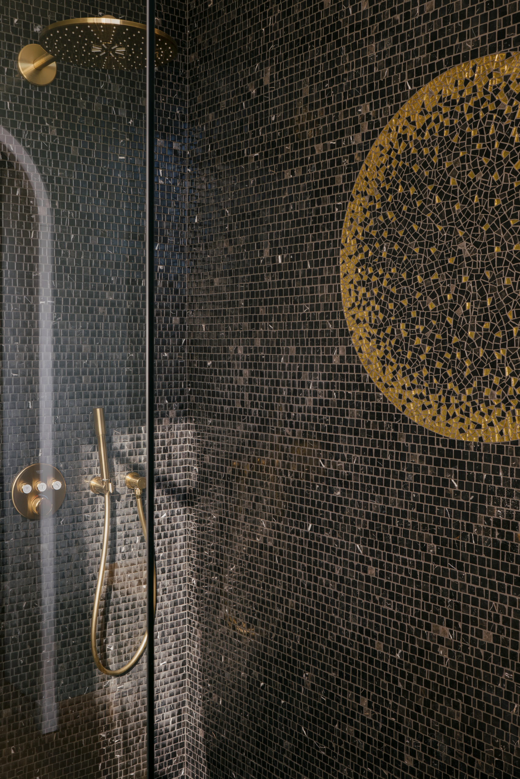 66_Voltaire©fabiosem